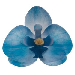 Dekora Wafer Paper Flower Orchids Blue 8,5x7,5cm - Set/10