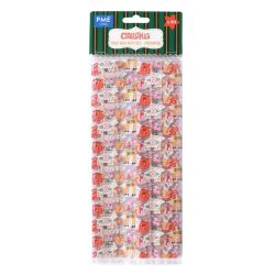 PME Treat Bags Christmas Enchanted Pk/20